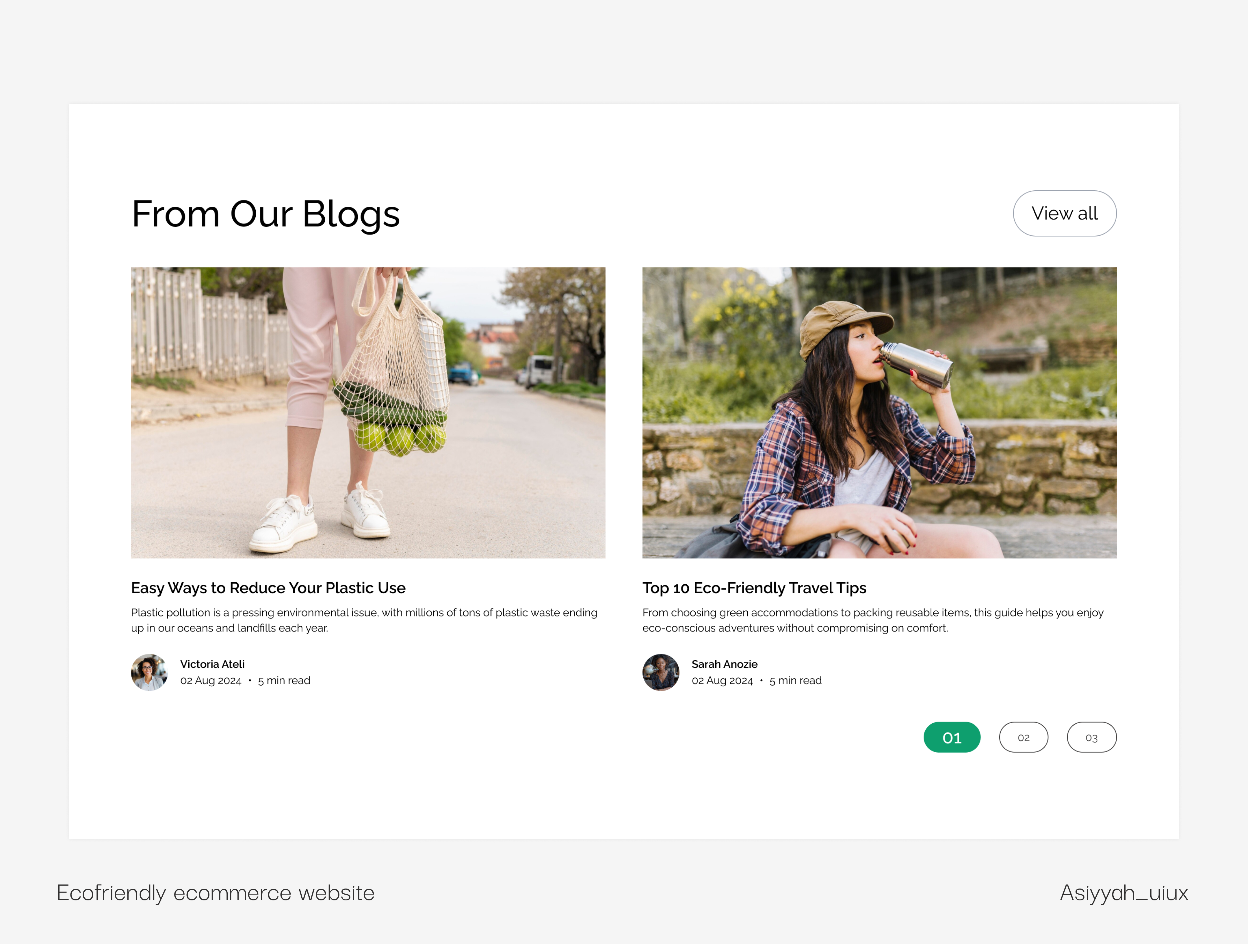 EcoLife ecommerce blog interface
