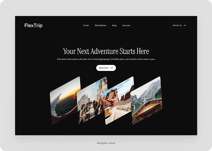 Design showcase 2